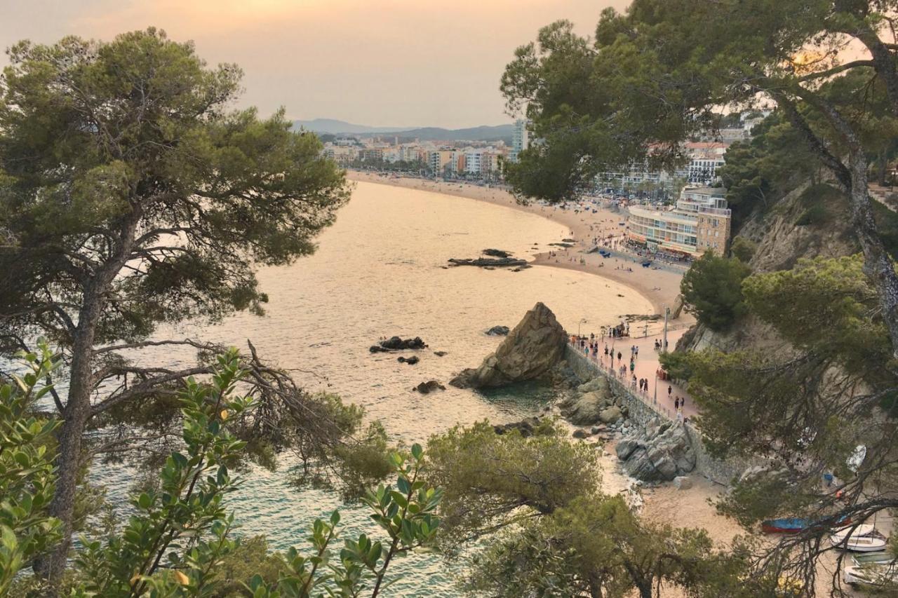 Hotel Casa Coco Boutique Hotel&spa 4*s - Adults Only